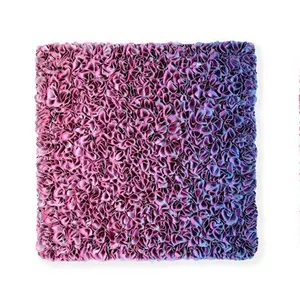 Flowerbed Colorchange, B02233