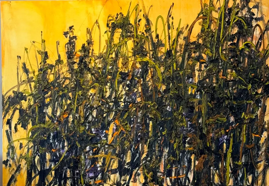 Goldenhour &mdash; Anita Vermeeren
