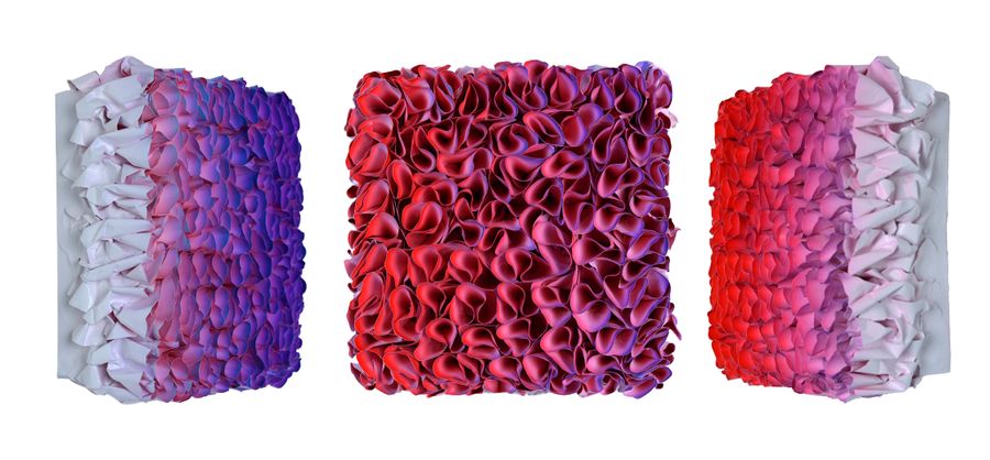 Flowerbed Colorchange, S23125 &mdash; Zhuang Hong Yi