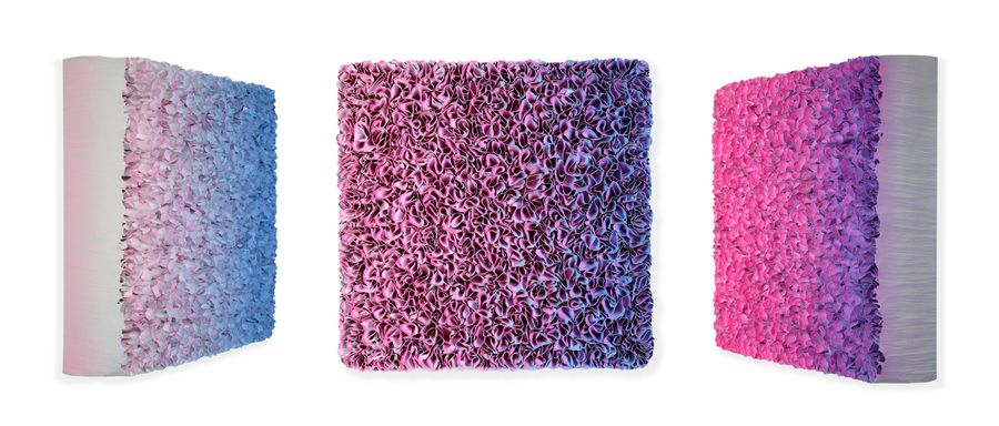 Flowerbed Colorchange, B02233 &mdash; Zhuang Hong Yi