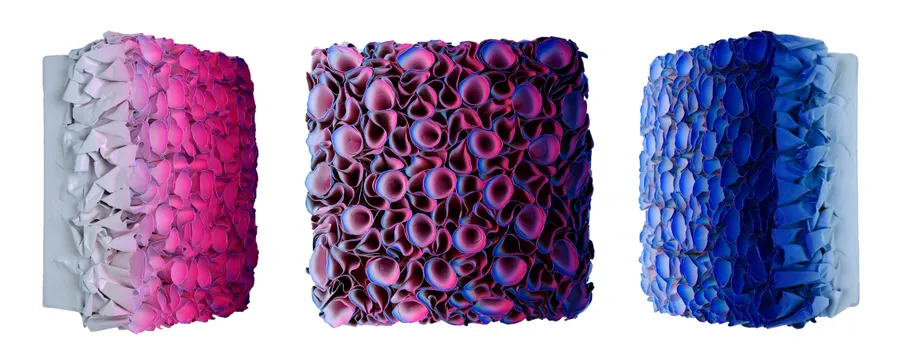 Flowerbed Colorchange, S23119- M20 &mdash; Zhuang Hong Yi