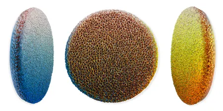 Flowerbed Colorchange, B12628