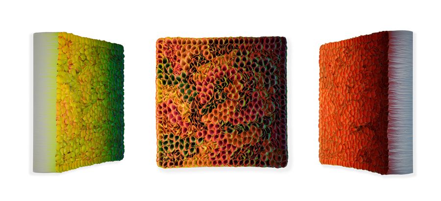 Flowerbed Colorchange, S02224 &mdash; Zhuang Hong Yi