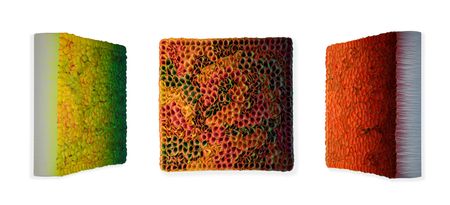 Flowerbed Colorchange, S02224