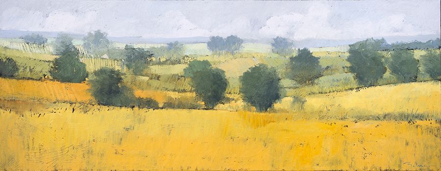 Fields of Gold &mdash; Paul Balmer