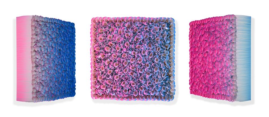 Flowerbed Colorchange, B20-C075 &mdash; Zhuang Hong Yi