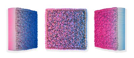 Flowerbed Colorchange, B20-C075