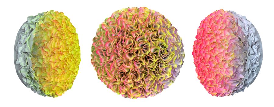 Flowerbed Colorchange, B23024 &mdash; Zhuang Hong Yi
