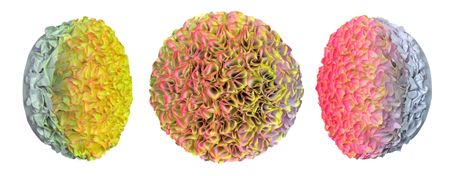 Flowerbed Colorchange, B23024