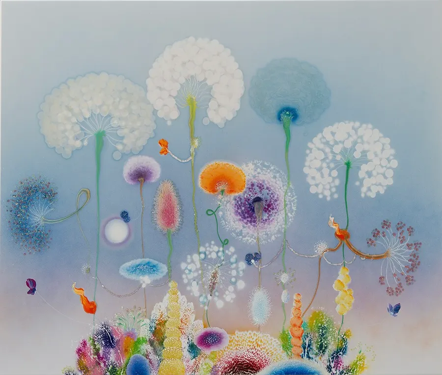 Primavera Admiral &mdash; Thierry Feuz